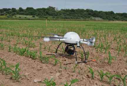 drone cultivo