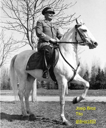 Josip Broz Tito caballo blanco