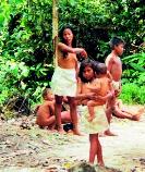 indigena sselva Comunidades originarias yonhy lescano