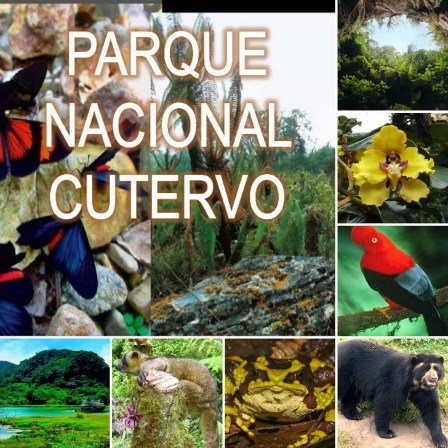 Parque Nacional Cutervo