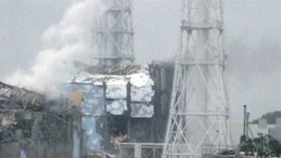 reactor danado fukushima