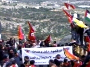 palestinos banderas marcha