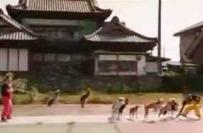 13 perros saltan soga japon