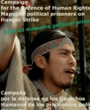 mapuche protesta afiche