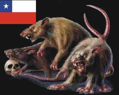 ratas chilenas rabiosas
