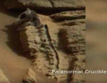 fosil reptil Marte