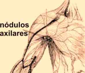 nodulos axilares