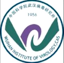 Instituto Virologia Wuhan