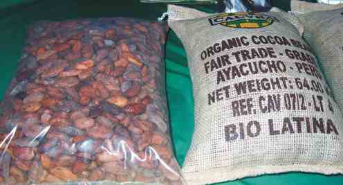 cacao organico