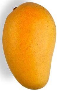 mango ataulfo