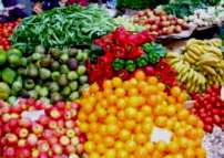 verduras frutas