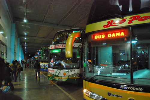 buses interprovinciales
