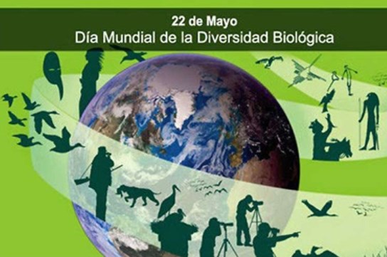 dia biodiversidad biologica