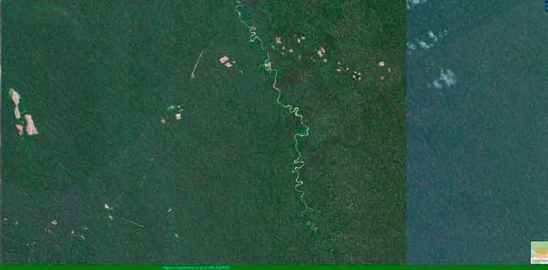 Madereros ilegales Nueva Italia rio Ucayaly Yurua upperamazon Conservancy