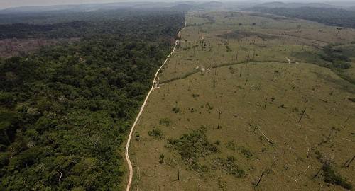 deforestacion amazonia brasil