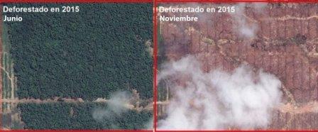 deforestacion en tamshiyacu maap