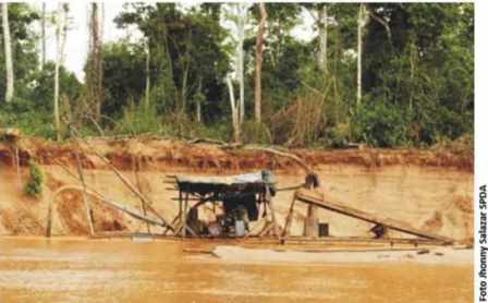 mineria ilegal Tambopata