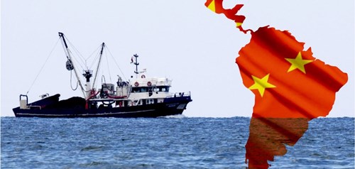 chinos depredan mar