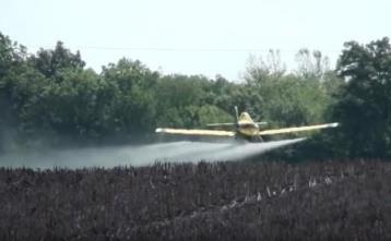 avioneta pesticida