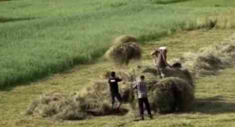 agricultura Ucrania