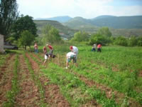 trabajadores agrarios