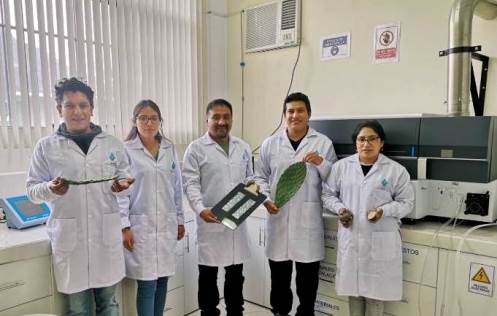 inventores U Andahuaylas removedor metales pesados 2020