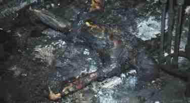 quemado Odesa 2 2014