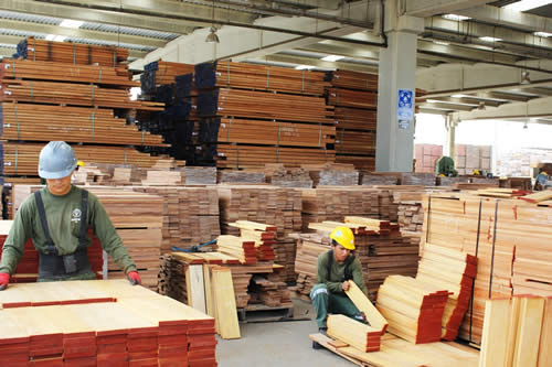 obreros carpinteria carpinteros