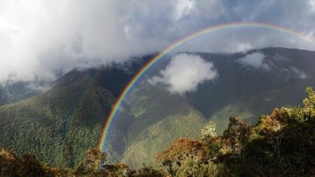 arco iris montana