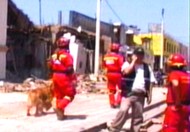 terremoto ica bomberos salvataje perros