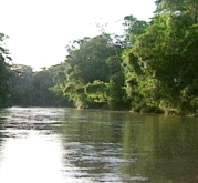 rio selva 3