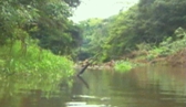 rio del amazonas
