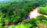 rio de la selva