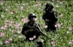marines opio afganistan