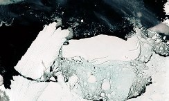 iceberg antartida feb2010