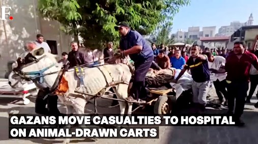carruaje heridos asno Gaza oct 2023