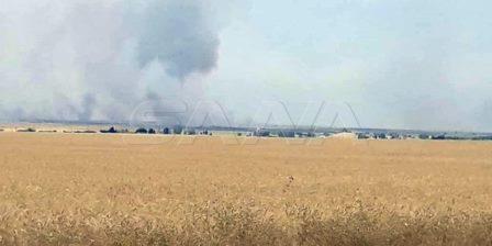 campo trigo quemado terrositas turcos