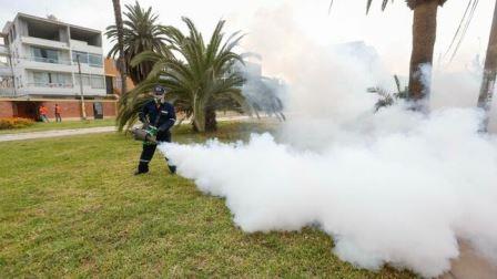 Minsa fumiga Mirones dengue