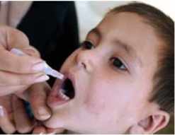 polio oral