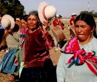 indigenas bolivia