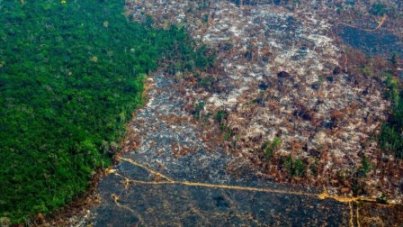 deforestacion Brasil nov 2019