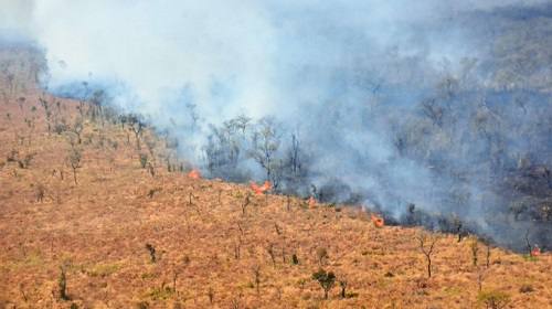 incendio Amazonia set 2019