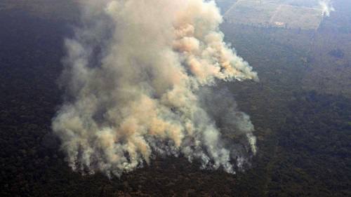 incendio selva amazonica brasil