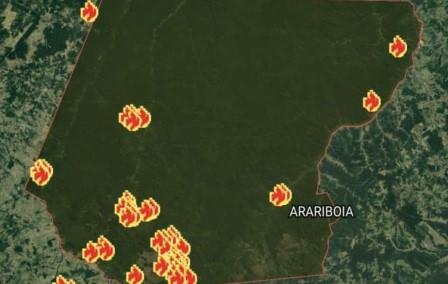 mapa incendios no contactados Survival