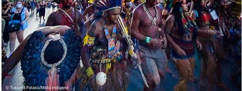 indigenas brasilenos